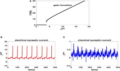 Beta-Rhythm Oscillations and Synchronization Transition in Network Models of <mark class="highlighted">Izhikevich</mark> Neurons: Effect of Topology and Synaptic Type